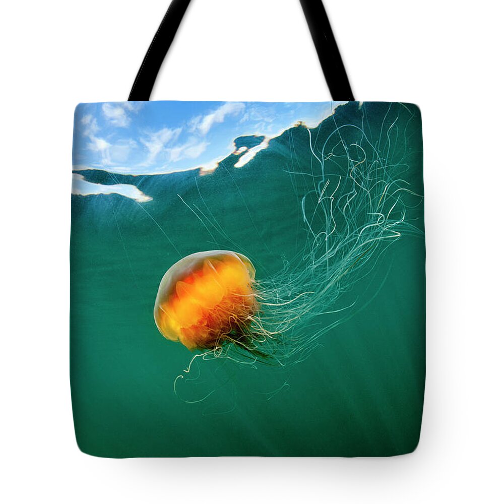 Underwater Tote Bag featuring the photograph Jellyfish, Alaska by Paul Souders