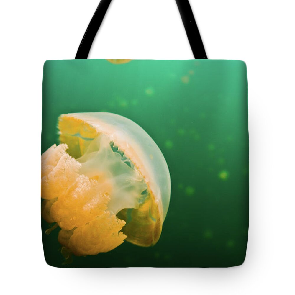 Underwater Tote Bag featuring the photograph Jellyfish Lake Palau by Wendy A. Capili