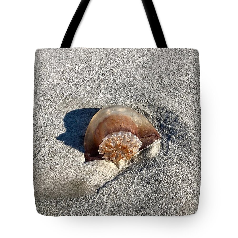 Jellyfish Tote Bag featuring the photograph Jellyfish Washed Up on the Beach by Dennis Schmidt