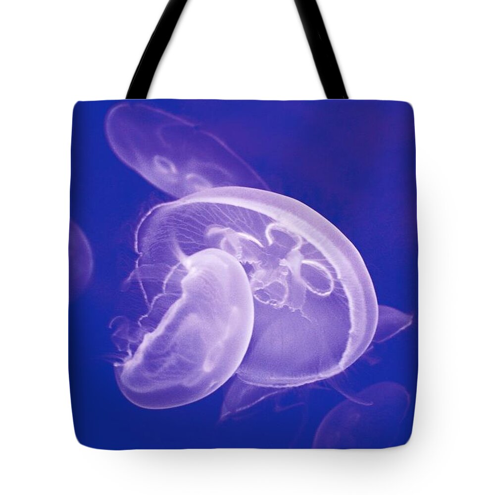 Underwater Tote Bag featuring the photograph Jellyfishes In Blue by Gret@lorenz