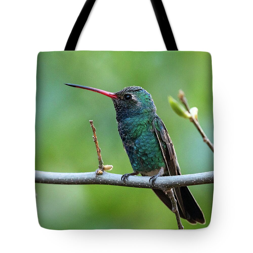 Bird Tote Bag featuring the photograph Jewel Bird by Jody Partin