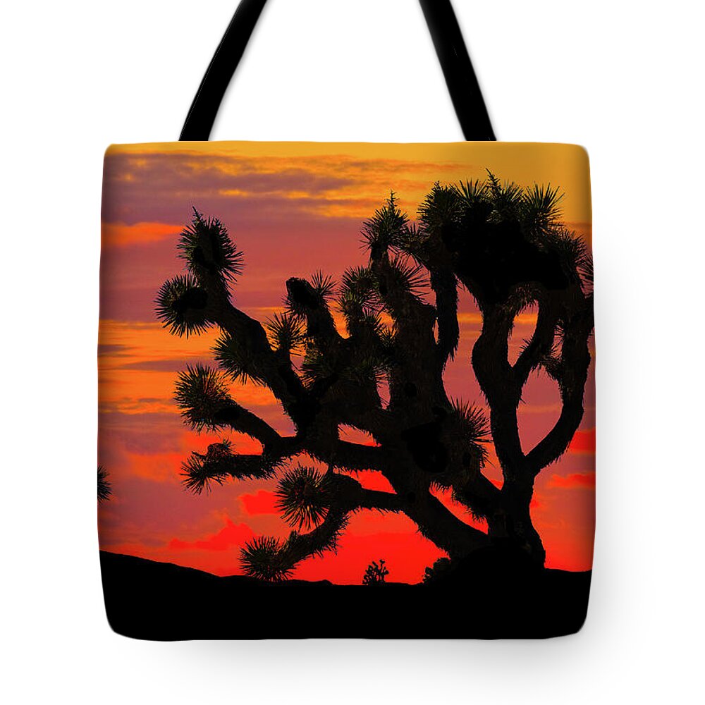 Arid Climate Tote Bag featuring the photograph Joshua Tree at Sunset by Jeff Goulden