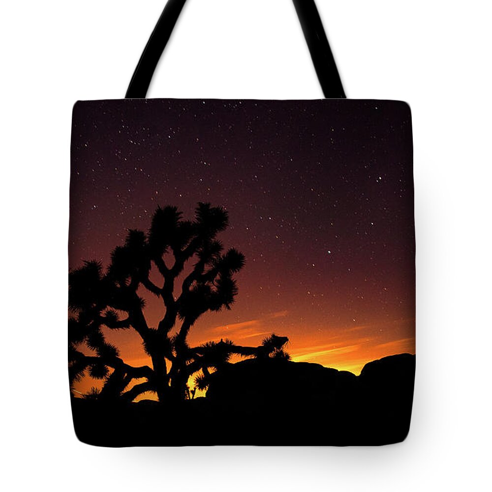 2016 Tote Bag featuring the photograph Joshua Tree National Park by Tim Kathka