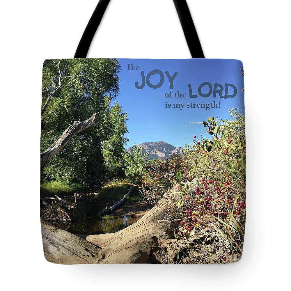 Tote Bag featuring the mixed media Joy Lord by Lori Tondini