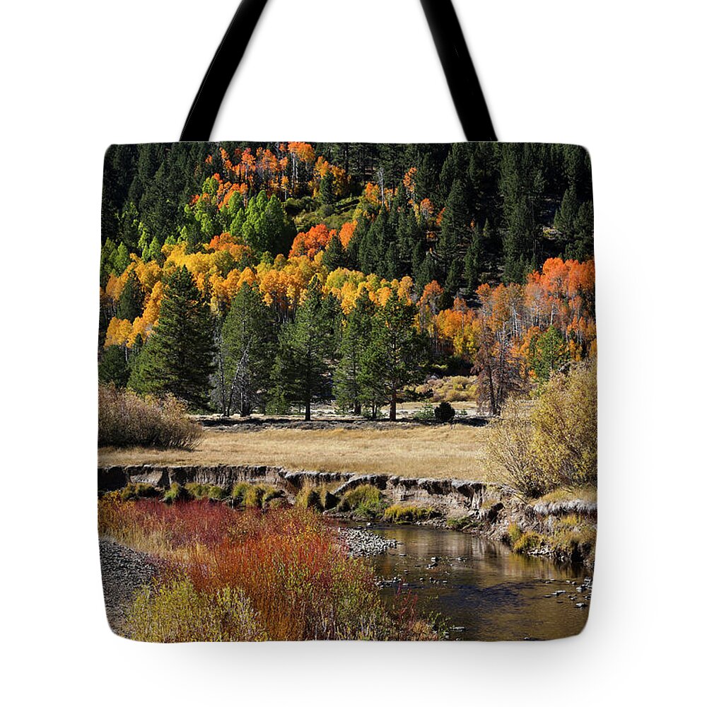  Tote Bag featuring the photograph Jt__0563 by John T Humphrey