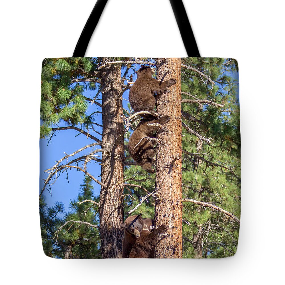  Tote Bag featuring the photograph Jt2l2200 by John T Humphrey