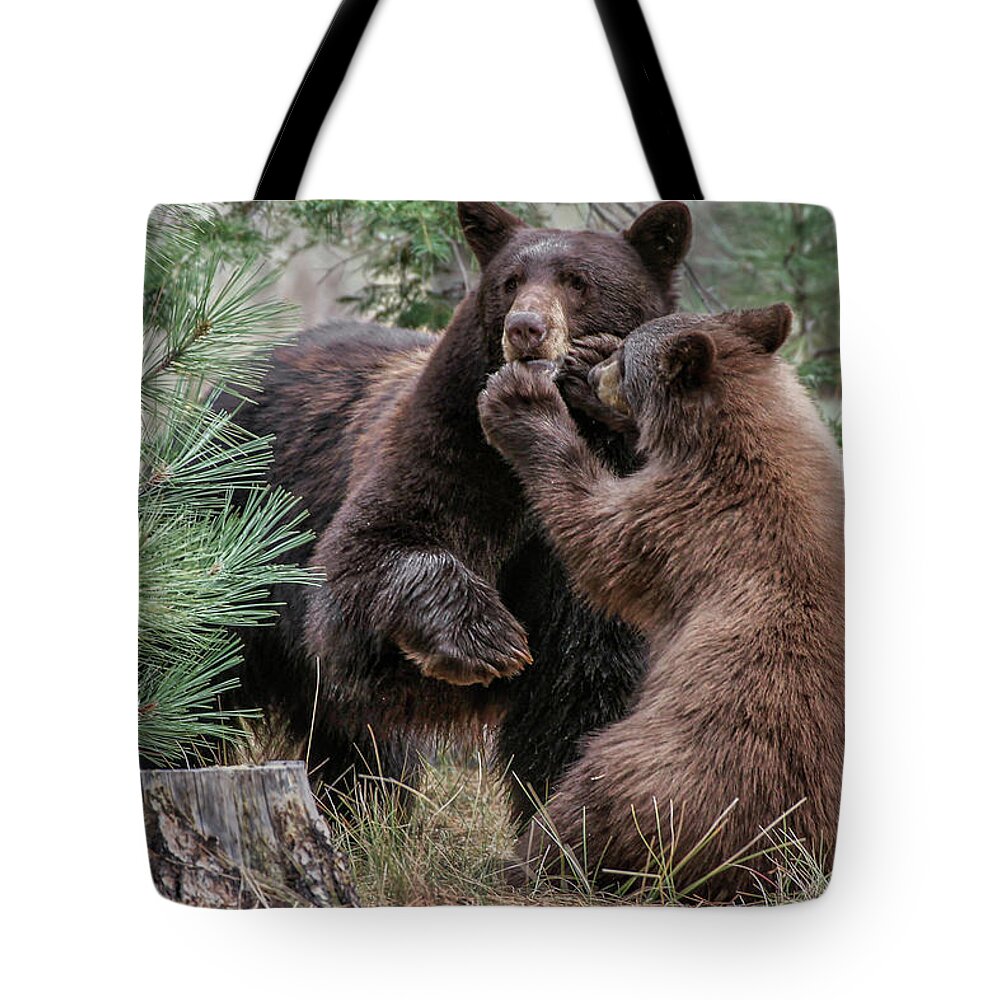  Tote Bag featuring the photograph Jt4_8239 by John T Humphrey