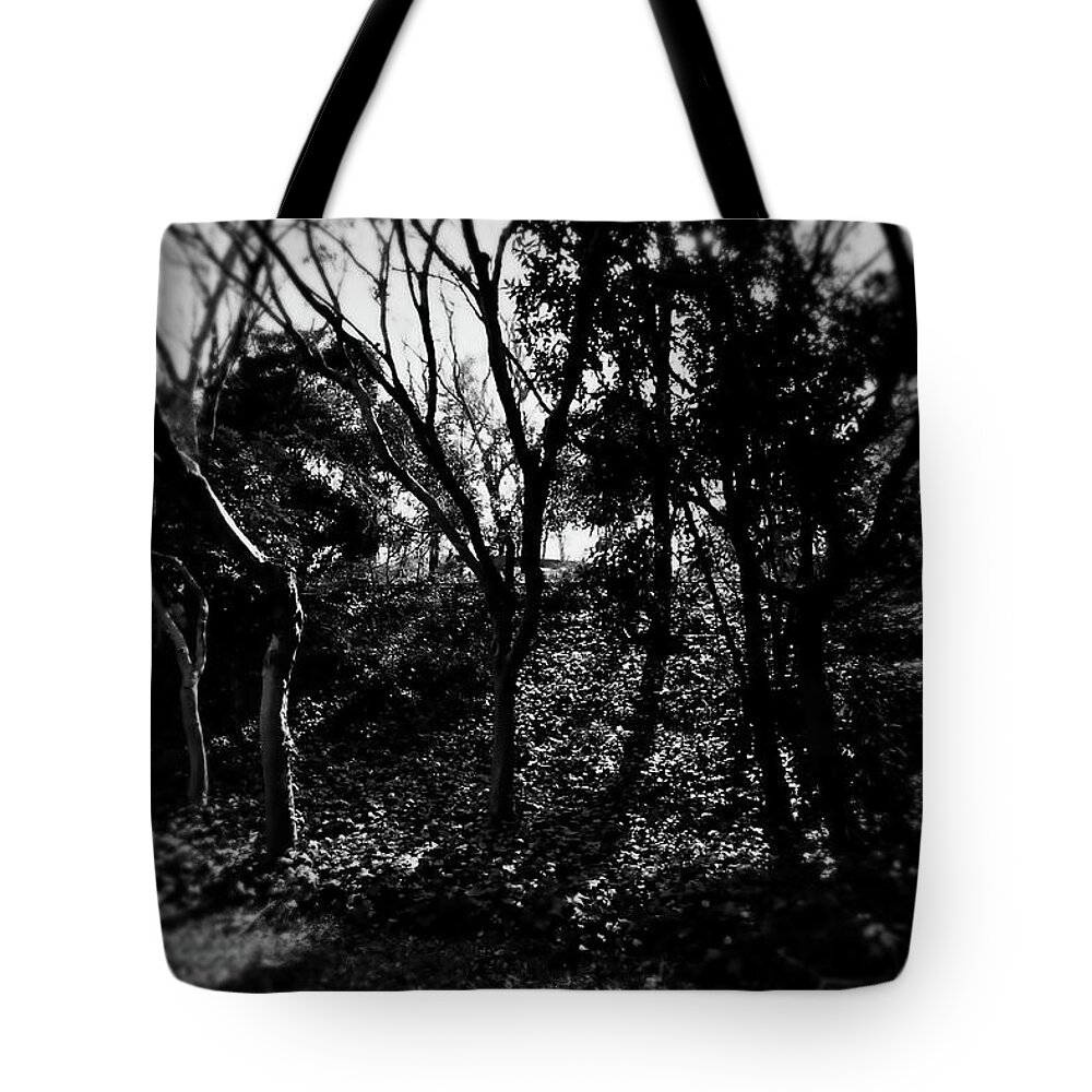 Photograph Tote Bag featuring the photograph JULIE's Photo Monochrome-313 by Angel Julie