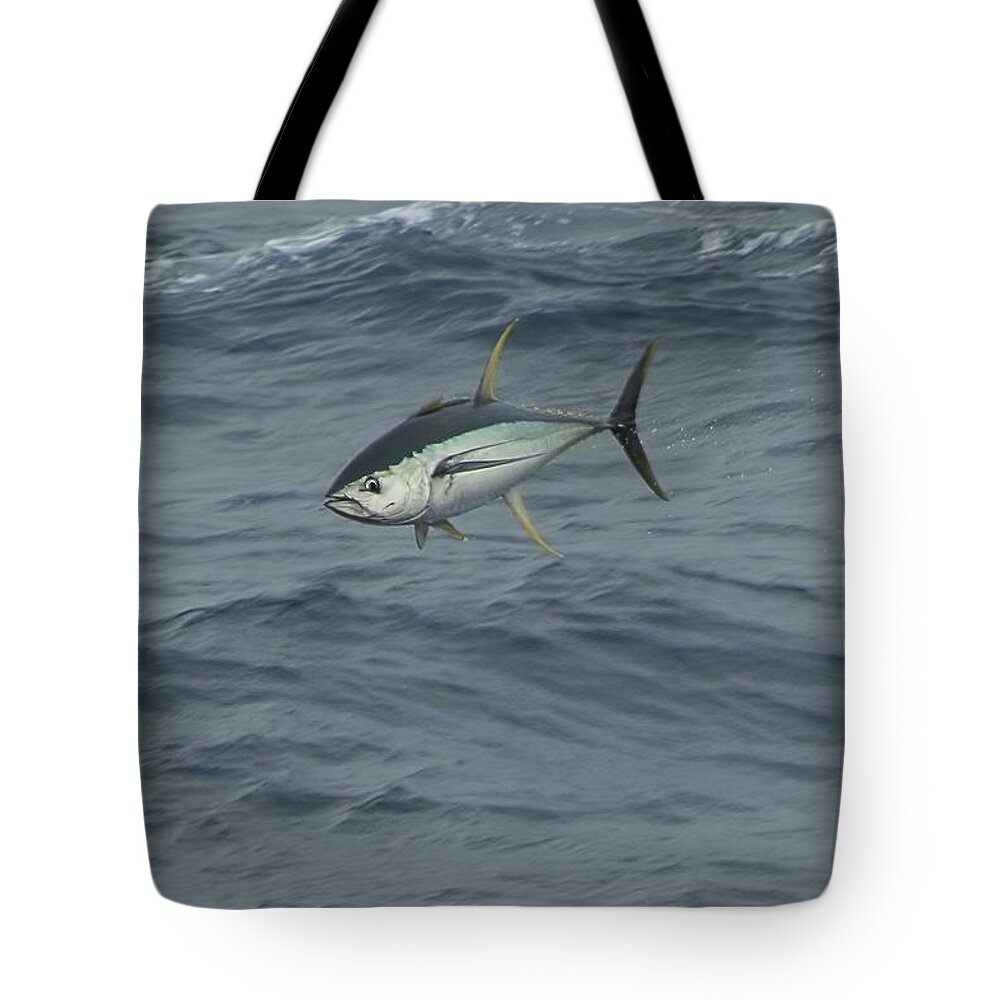 Yellowfin Tote Bag featuring the photograph Jumping Yellowfin Tuna by Bradford Martin