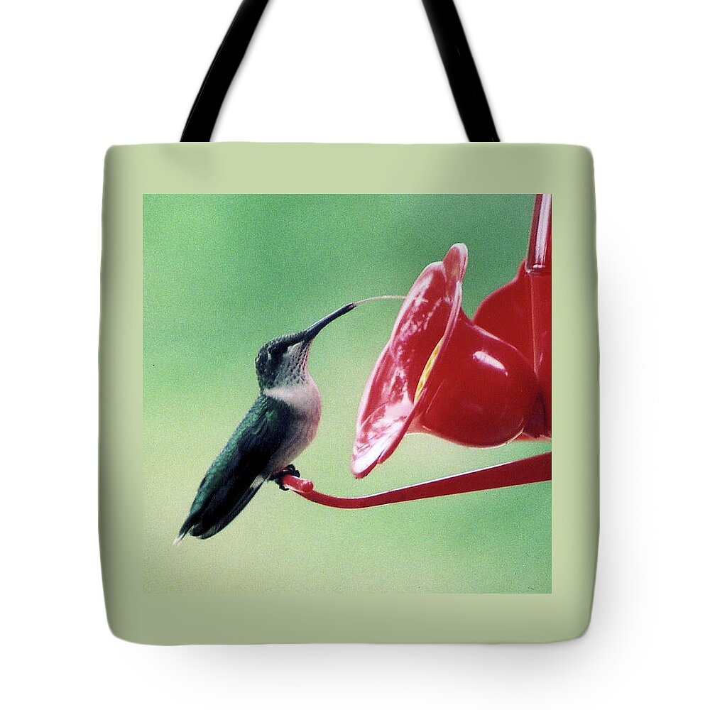 Birds Tote Bag featuring the photograph Just a Taste by Karen Stansberry