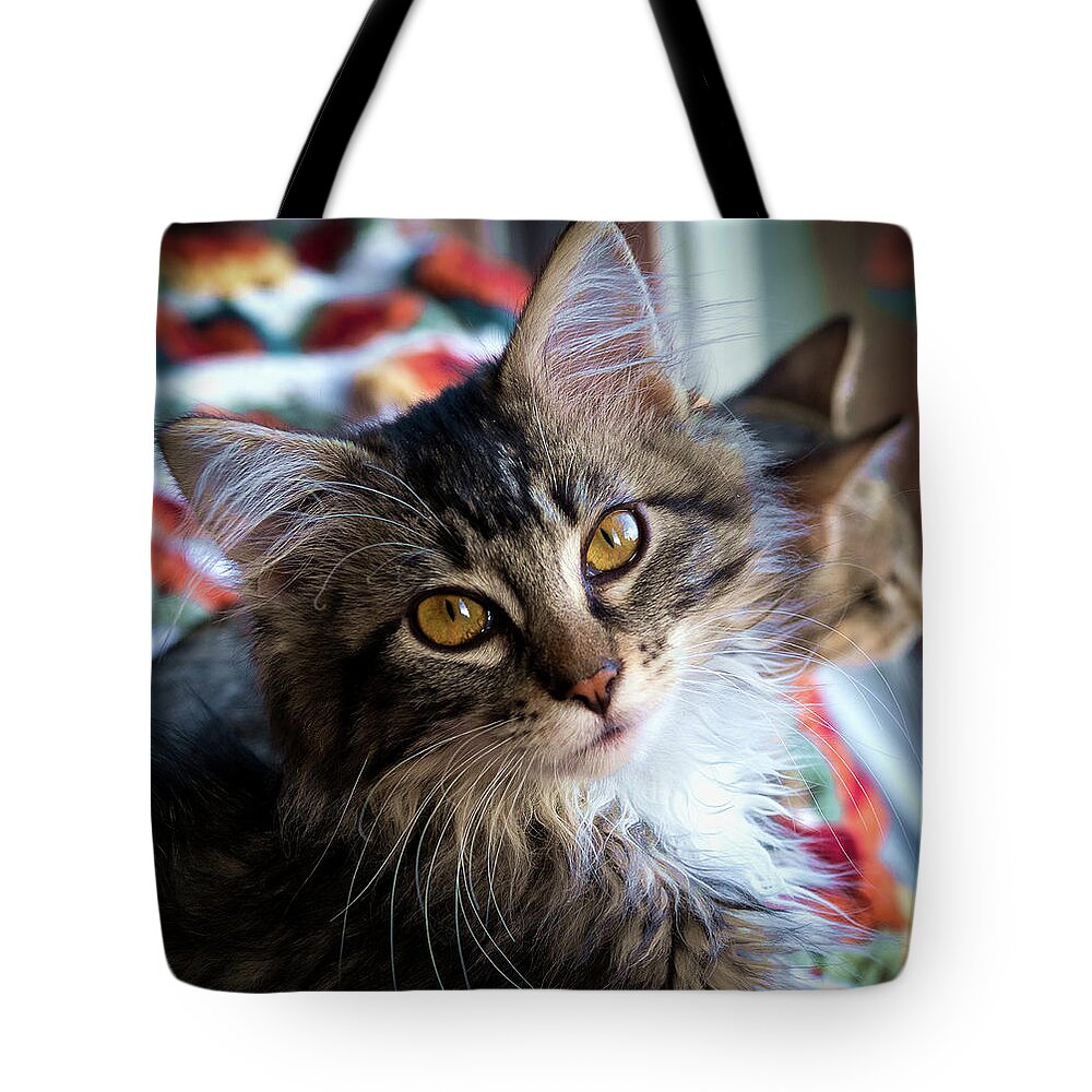 Adorable Tote Bag featuring the photograph Just Adorable by Jean Noren