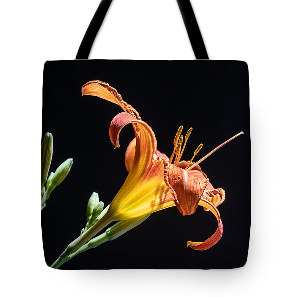 Floral Tote Bag featuring the photograph Just Another Day by Maggie Terlecki