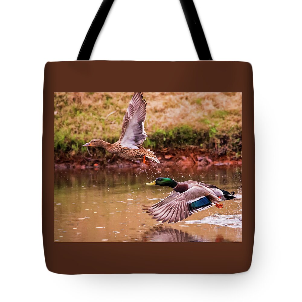 Birds Tote Bag featuring the photograph Just Winging It by Ray Silva