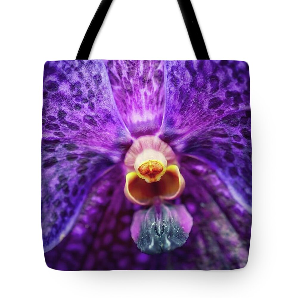 Orchid Tote Bag featuring the photograph Kedra by Shannon Kelly