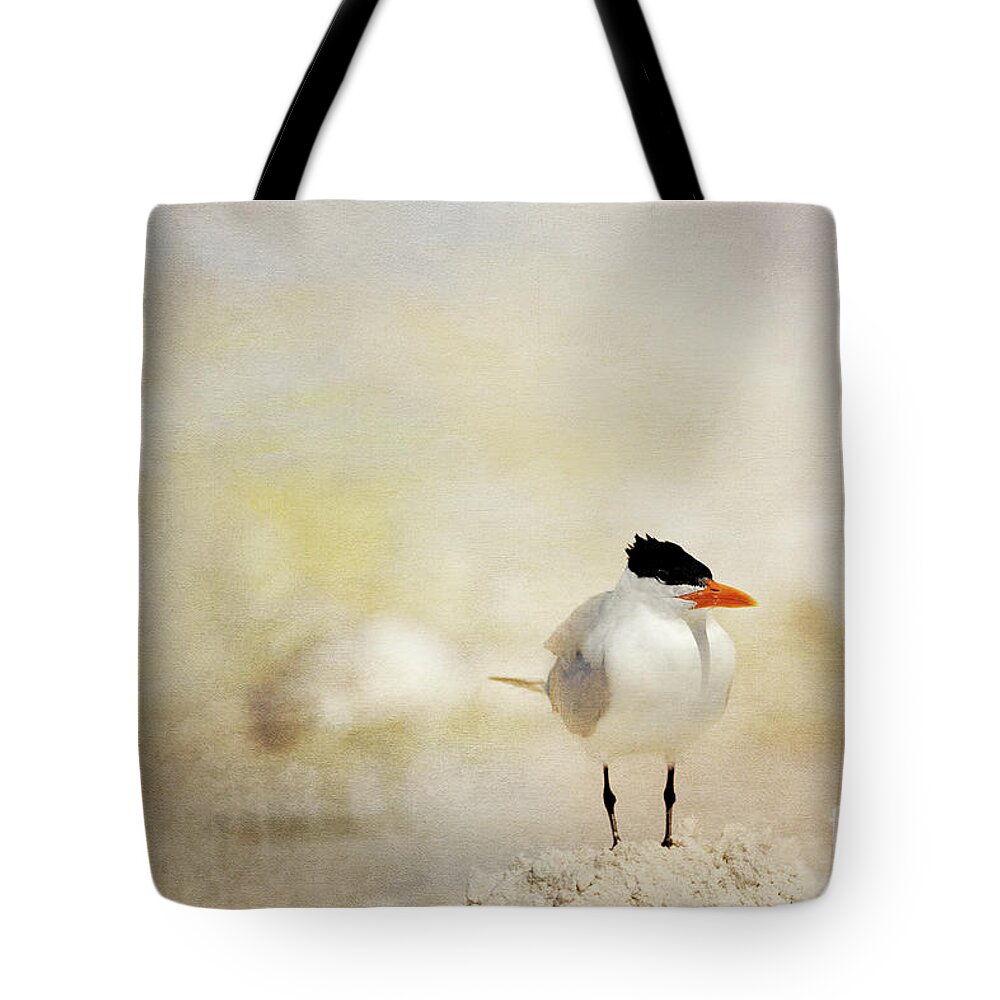 Royal Tern Tote Bag featuring the photograph King of the Sand Pile by Beve Brown-Clark Photography