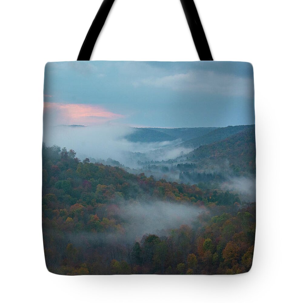 Kinzua Tote Bag featuring the photograph Kinzua Gorge by Wade Aiken