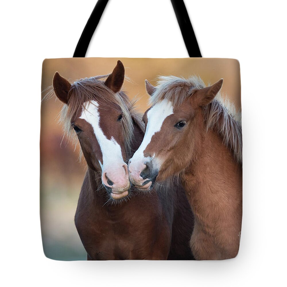 Cute Tote Bag featuring the photograph The Kiss by Shannon Hastings