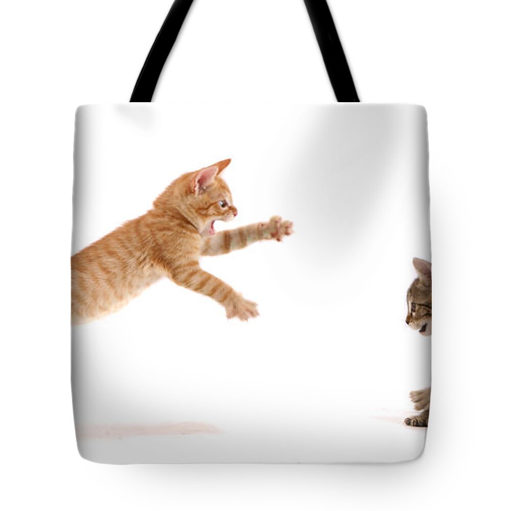 White Background Tote Bag featuring the photograph Kitten Attack by Spxchrome