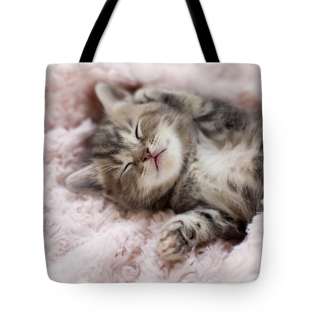 Pets Tote Bag featuring the photograph Kitten Sleeping On Towel by C.o.t/a.collectionrf