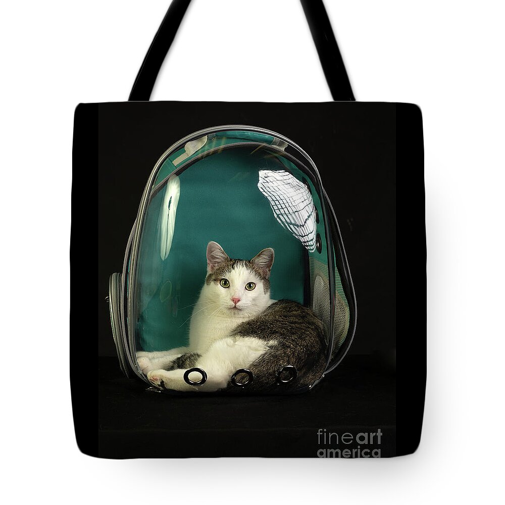 Cat Tote Bag featuring the photograph Kitty in a Bubble by Susan Warren