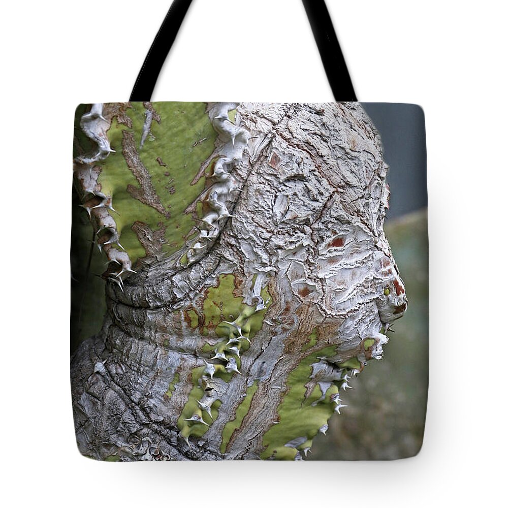 Cactus Tote Bag featuring the photograph Lady in Lace by Tiffany Whisler