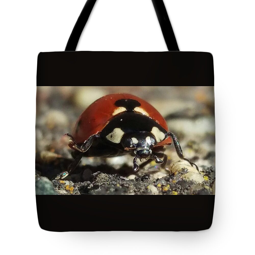 Ladybug Tote Bag featuring the photograph Ladybug Macro Photography by Delynn Addams