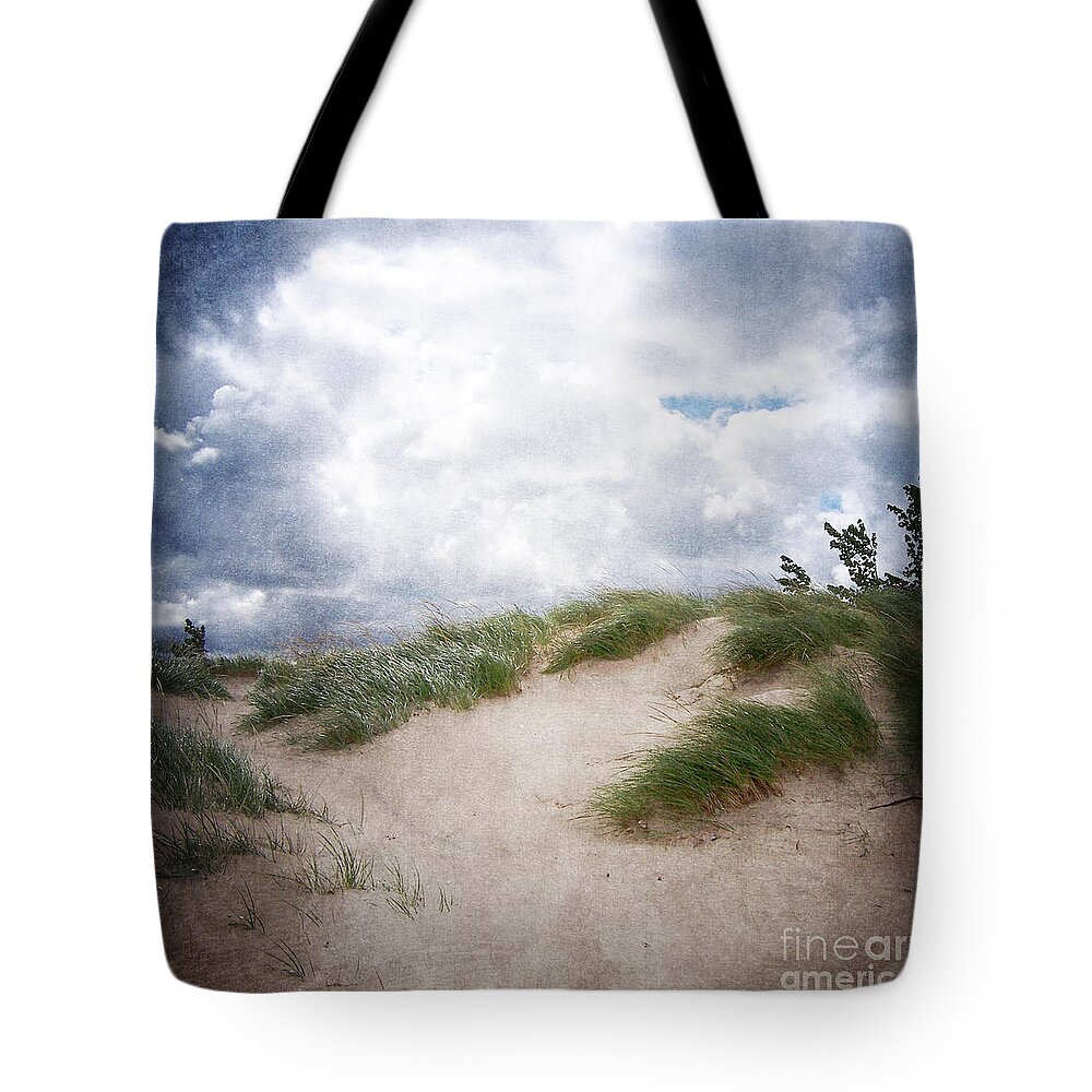 Holland Tote Bag featuring the photograph Lake Michigan Sand Dunes by Phil Perkins