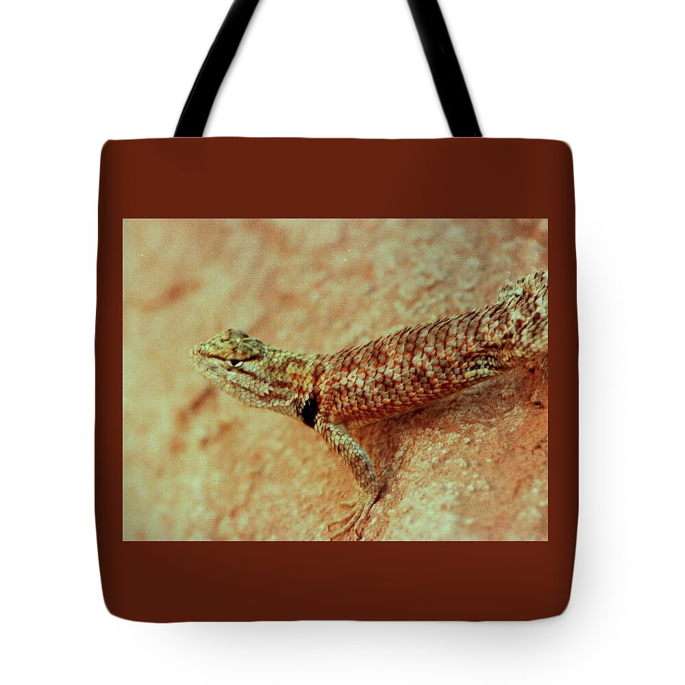 Travel Tote Bag featuring the photograph Lake Powell Lizard by Karen Stansberry