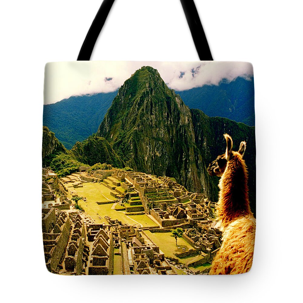 Machu Picchu Tote Bag featuring the photograph Lama In Front Of Macchupichu, Peru by By Lionel Arnould