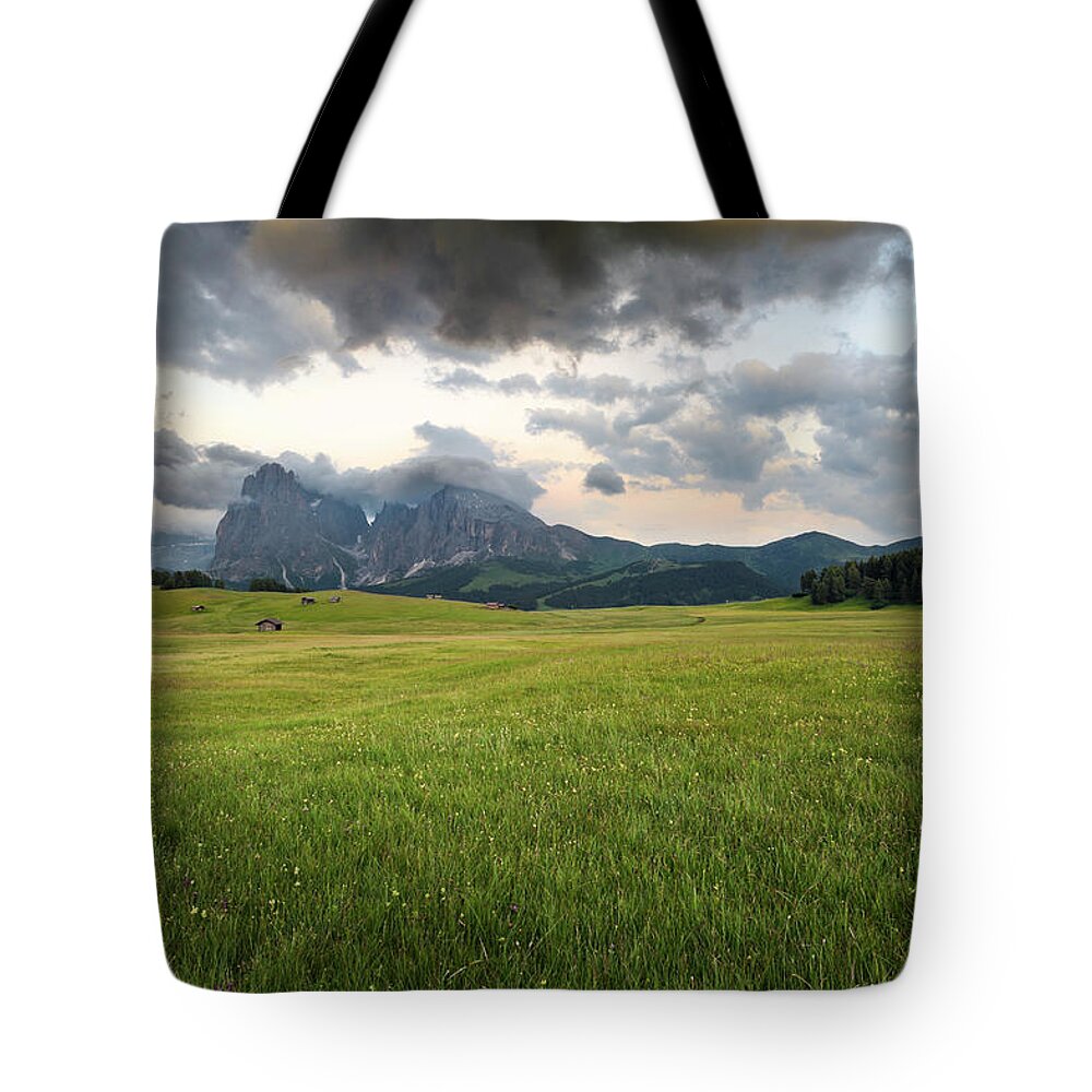 Scenics Tote Bag featuring the photograph Landscape Of The Alps by Scacciamosche