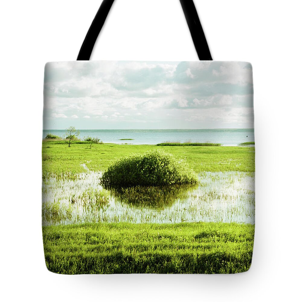 Tranquility Tote Bag featuring the photograph Large Bush In Swamp by Dmitry Savin