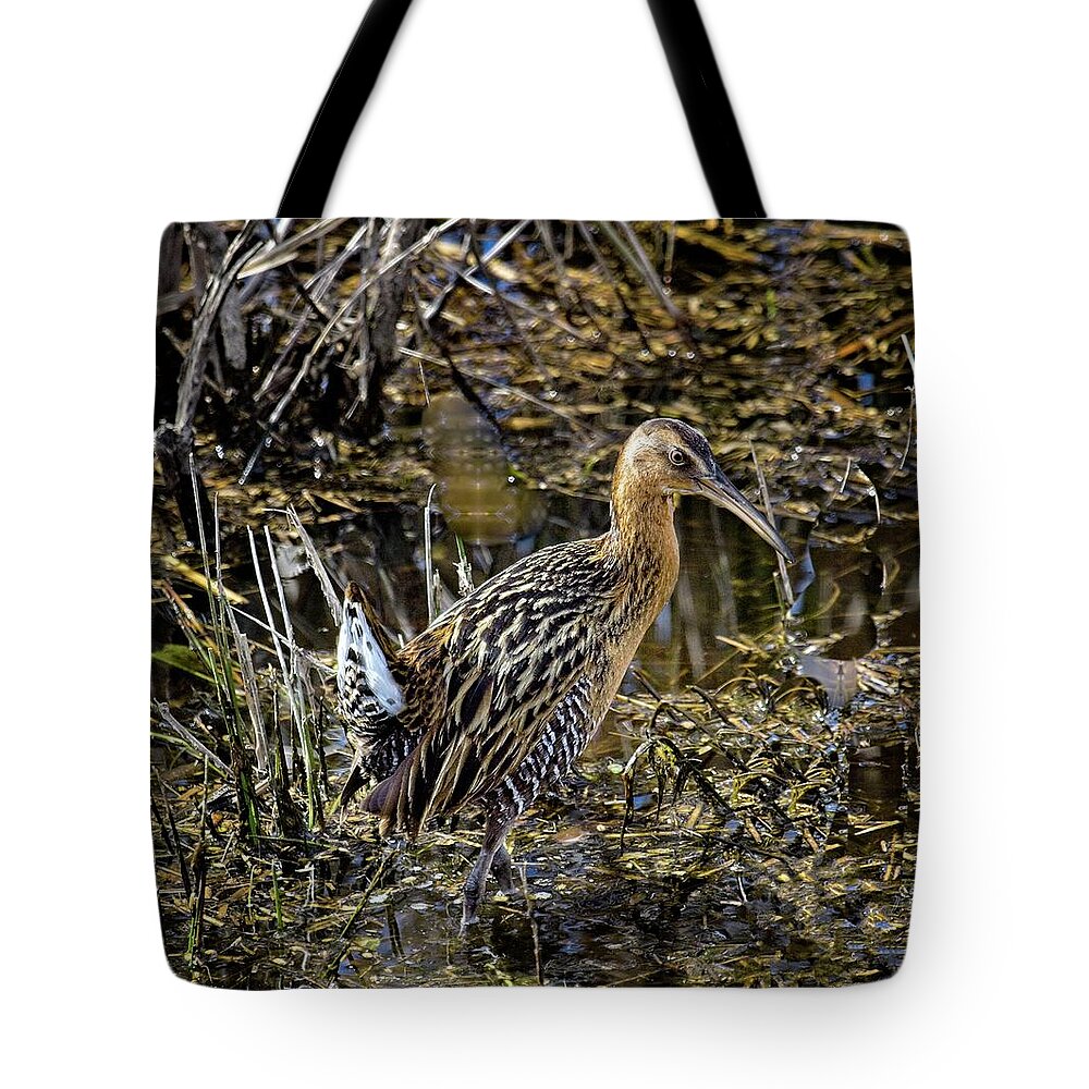 Savannah River Nwr Tote Bag featuring the photograph Largest North American Rail by Ronald Lutz