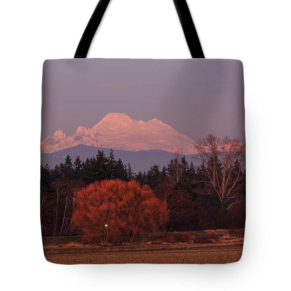 Skagit Valley Tote Bag featuring the photograph Last Light by Briand Sanderson