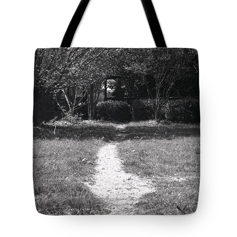 Tree Tote Bag featuring the photograph Last Look Back by Ivars Vilums