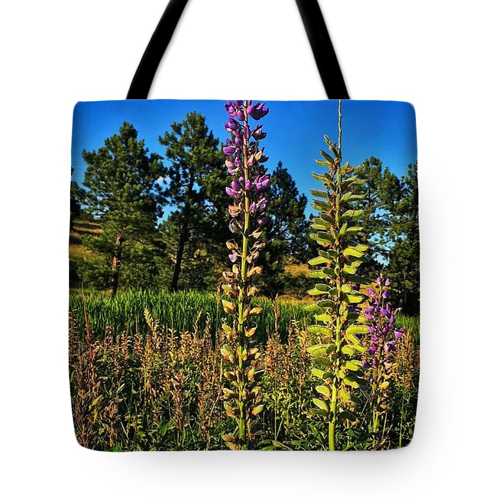 Landscape Tote Bag featuring the photograph Last Lupine by Dan Miller