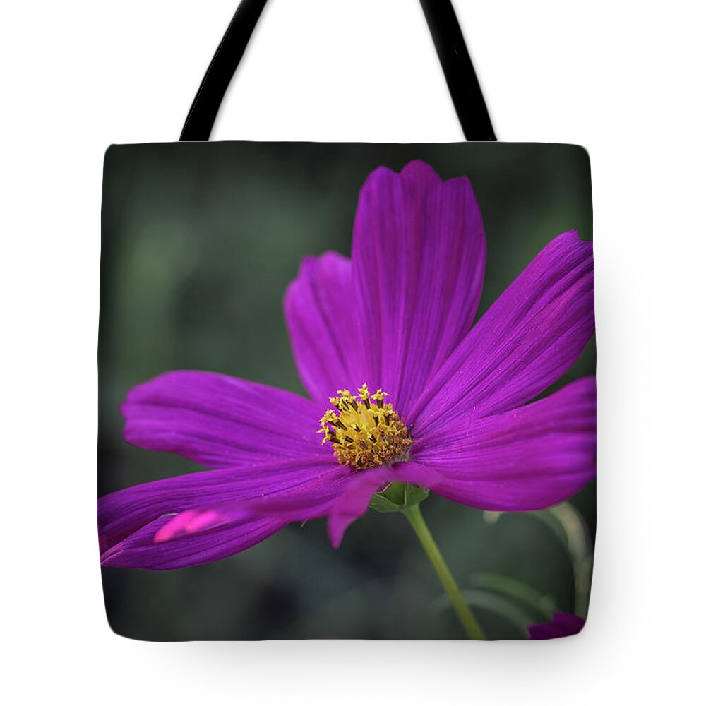 Flower Tote Bag featuring the photograph Last Pedal's Light by Aaron Burrows