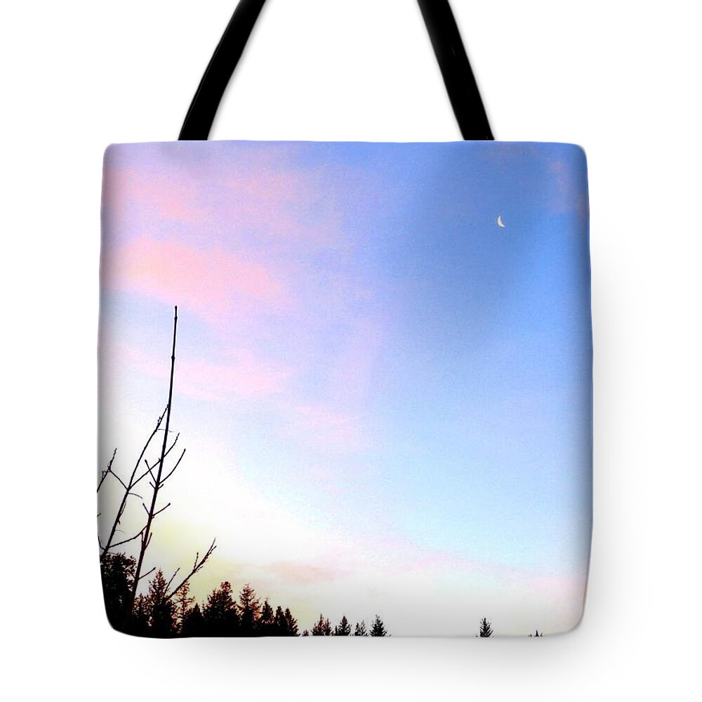 Sunrise Tote Bag featuring the photograph Last Sunrise Of 2018 by Will Borden