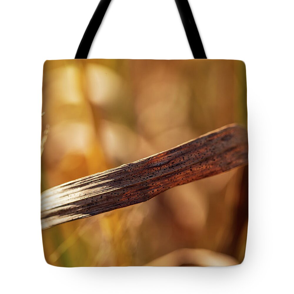 Grass Tote Bag featuring the photograph Nature Photography - Grass by Amelia Pearn