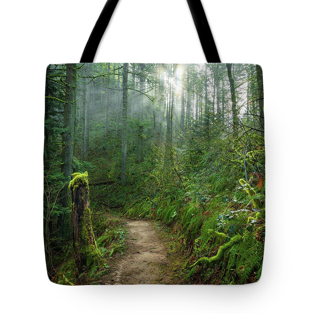 Latourell Trail Tote Bag featuring the photograph Latourell Trail by Chris Steele