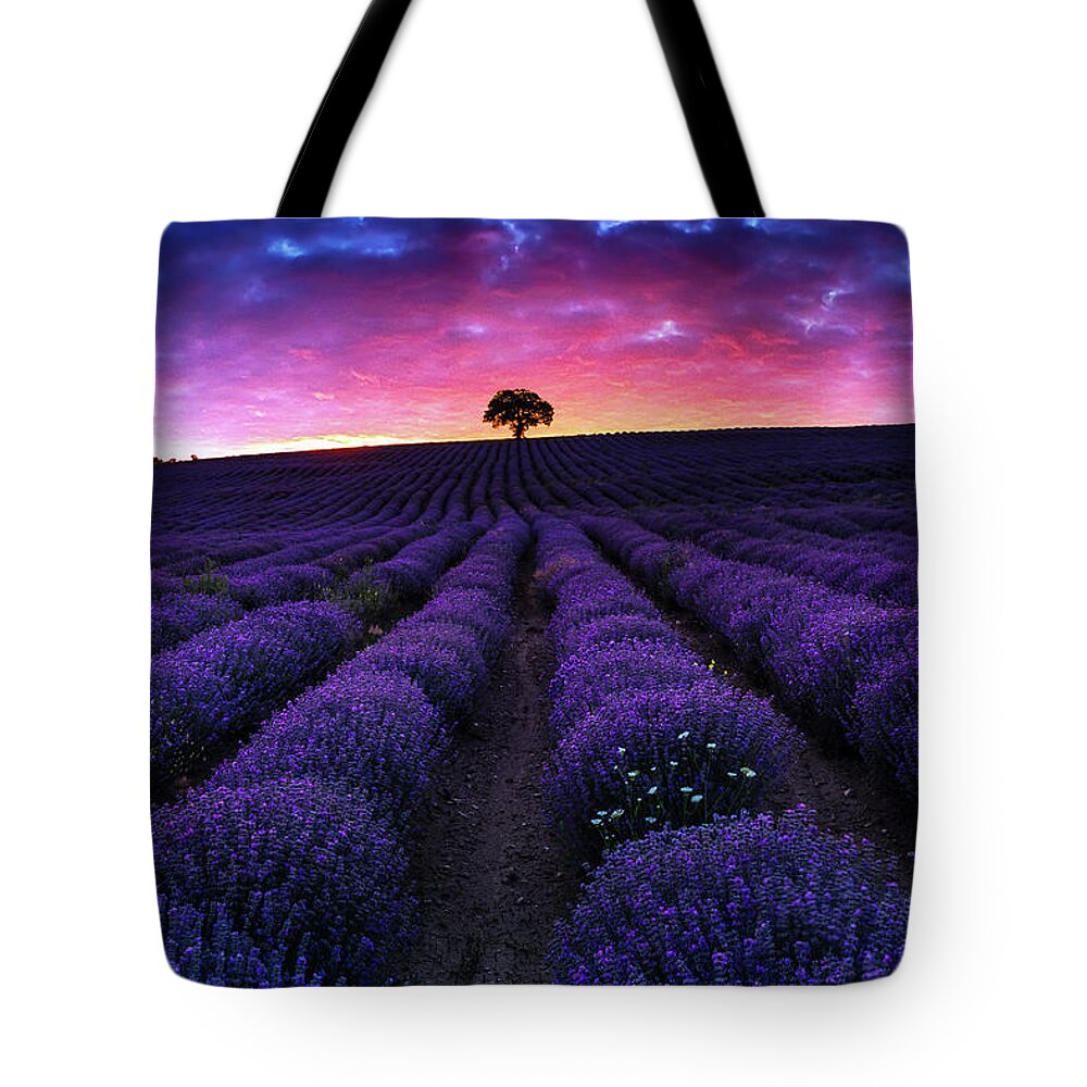 Afterglow Tote Bag featuring the photograph Lavender Dreams by Evgeni Dinev