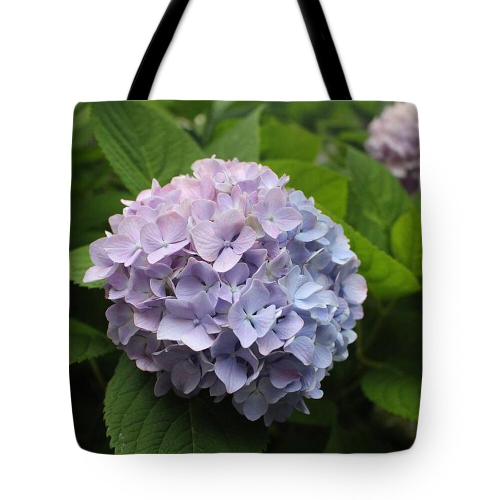 Lavender Tote Bag featuring the photograph Lavender Hydrangea, Cape May by Christopher Lotito