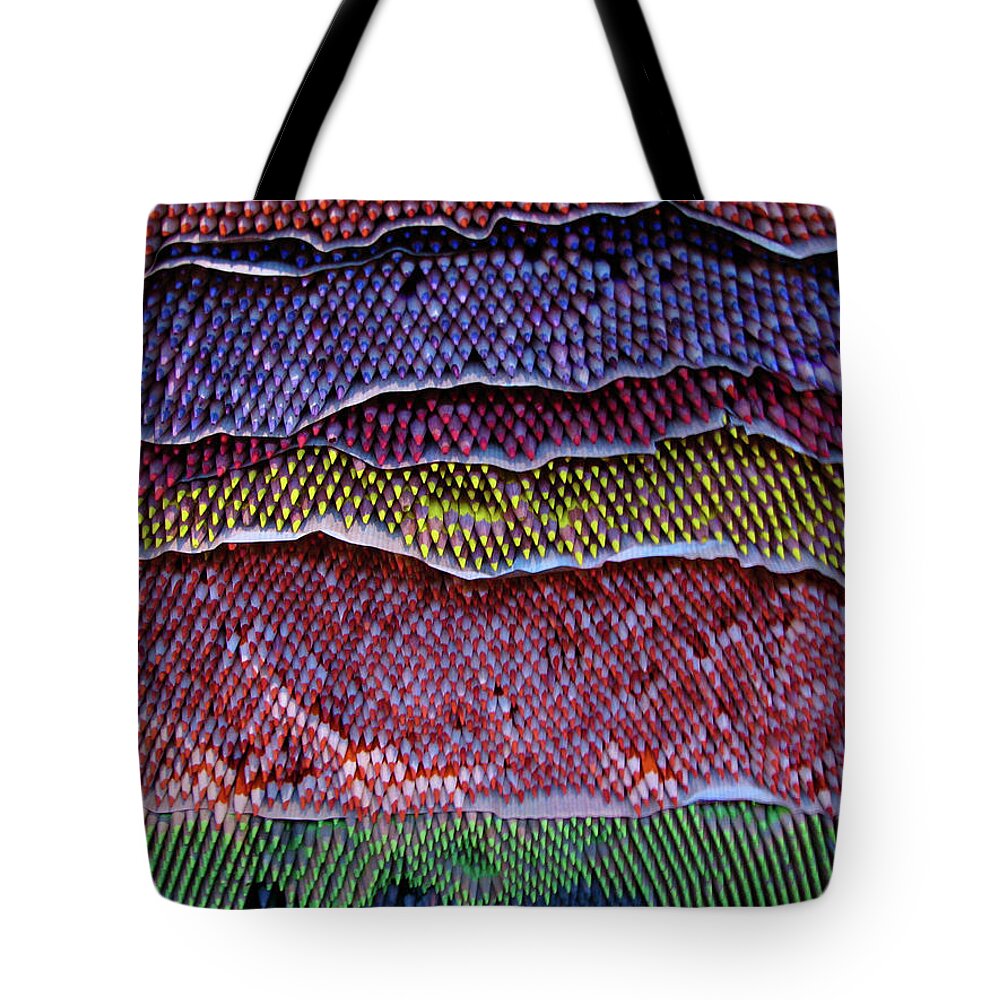 Large Group Of Objects Tote Bag featuring the photograph Layers Of Color Pencils by Teresa Claudino