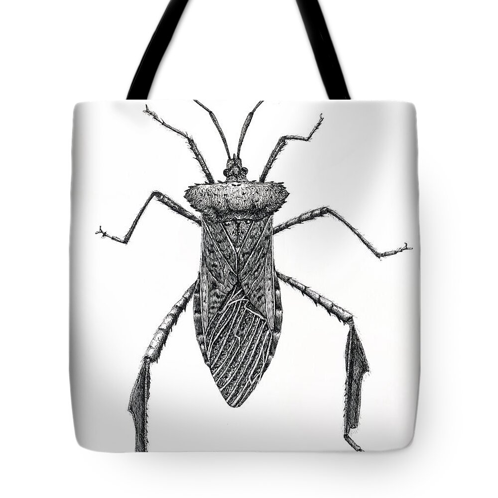 Bug Tote Bag featuring the drawing Leaf Footed Bug by Marie Stone-van Vuuren
