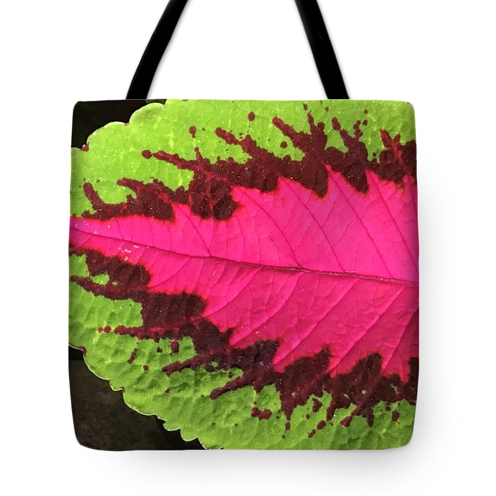 Flowers Tote Bag featuring the photograph Leaf Galore by Jean Wolfrum