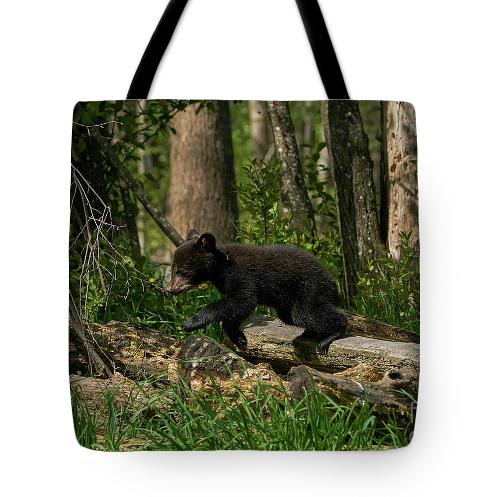 Sitting Tote Bag featuring the photograph Leap by Brian Kamprath