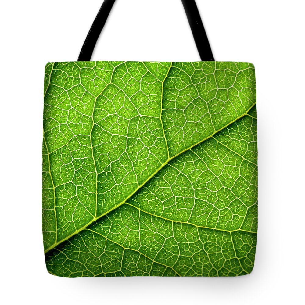 Season Tote Bag featuring the photograph Leaves Series by Temmuzcan