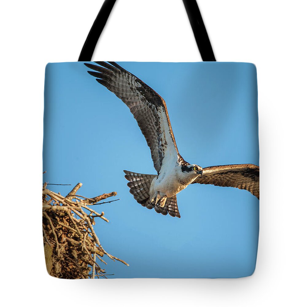 Nature Tote Bag featuring the photograph Leaving The Nest by Cathy Kovarik