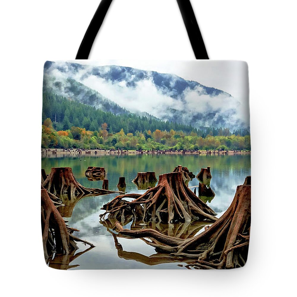 Trees Tote Bag featuring the photograph Leftovers by Rick Lawler