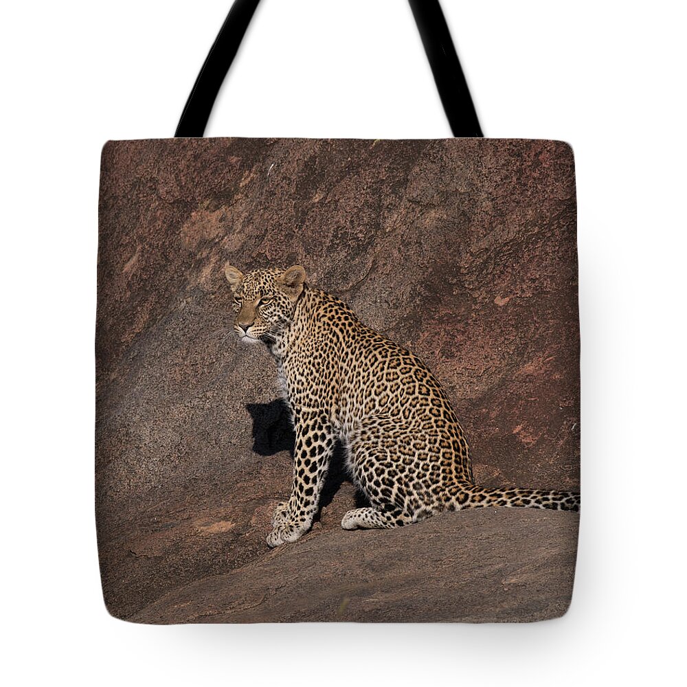 Leopard Tote Bag featuring the photograph Leopard In Tanzania by Patrick Nowotny