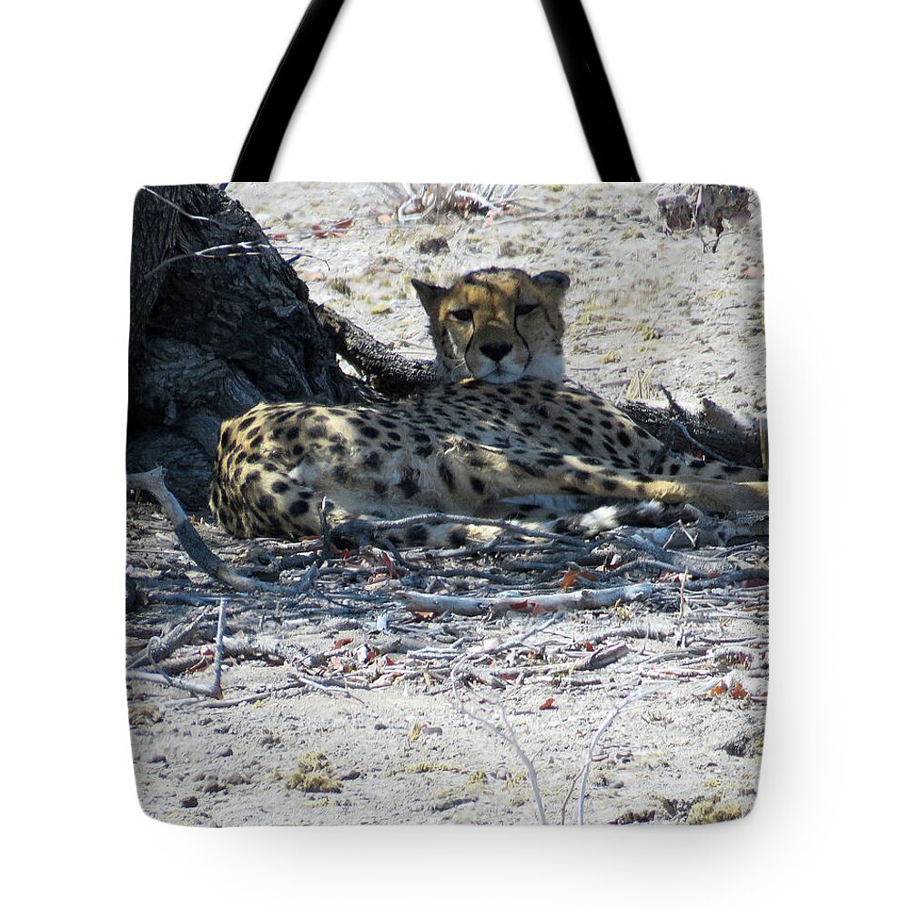 Cheetah Tote Bag featuring the photograph Cheetah in the shade by Eric Pengelly